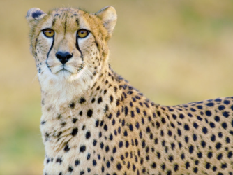 Jaw-dropping travel footage